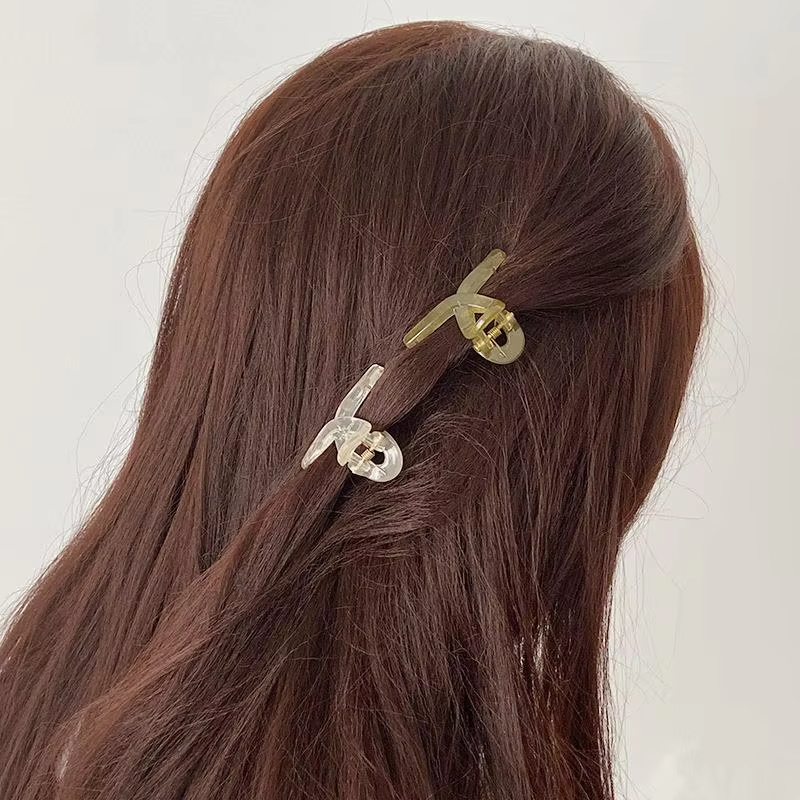 4 Stuks Haar Clip Kleine Haars - Hair Claw Clip Set recensie en prijs